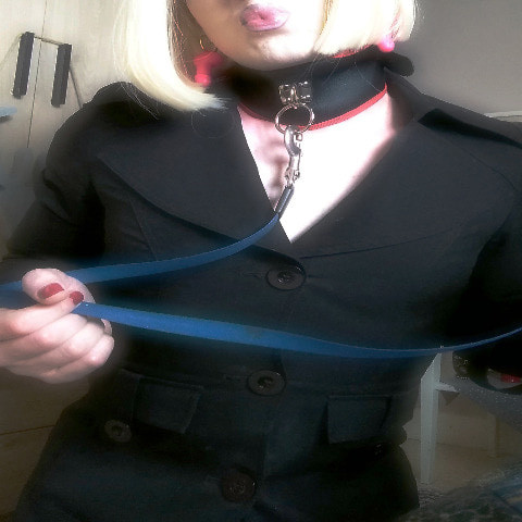 Chipie Tranny