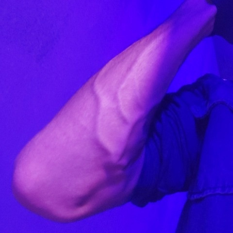 lapijarg