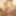 Tim_moncter_dick
