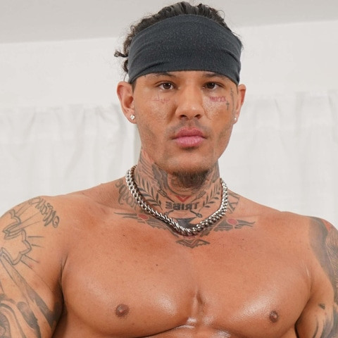 Gemini Jay
