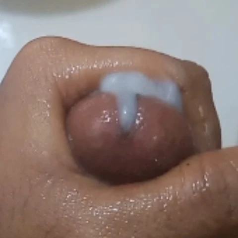 Milotobatoo