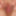 Kinkycouple4176