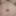 MrSlabs79