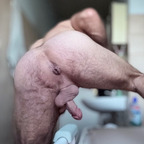 Donkeynutz