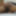 Telugu-sex-videos