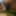 Your_SonaliVabi02