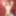 Yuki Izuta