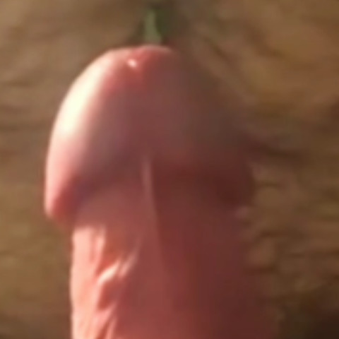 15_ethiosxe