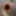 buttplughole