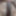 Fuck boy avi