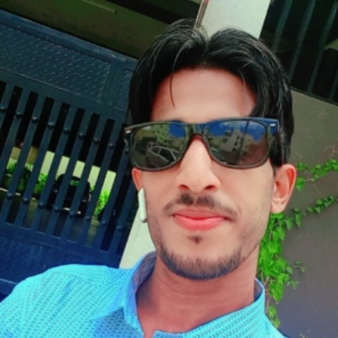 Mr Sx Pagal