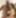 Lexington Steele