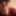 paxi_78