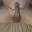 Dick Nyou