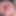 Cumslut