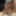 I_film_my_wife