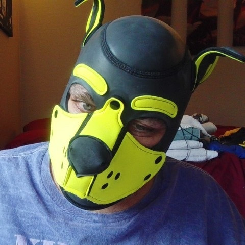 Gatorpup