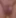 Tiny Token