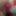 Spreadme124