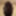 Blacklogger69