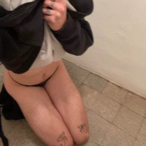 Robidogsissy