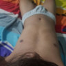 Morx