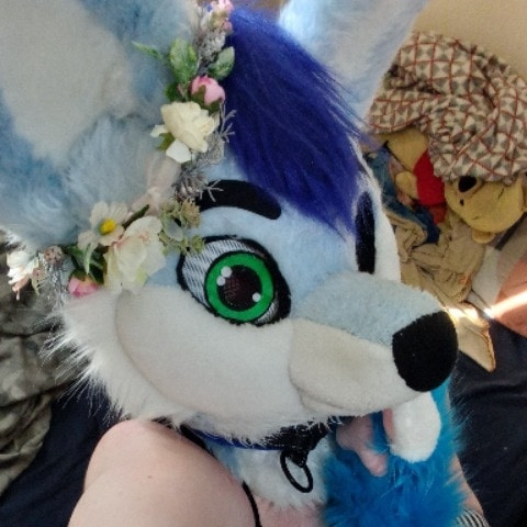 BlueHuskyuwu