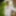 Hotdick_rohit
