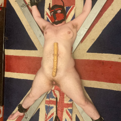 Transboychub