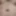 MrSlabs79