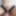 Kinkadventures