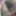 SL_Leaks 