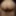 Sexlovers691