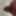 Big Brown Cock