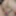 CloseUpFantasy