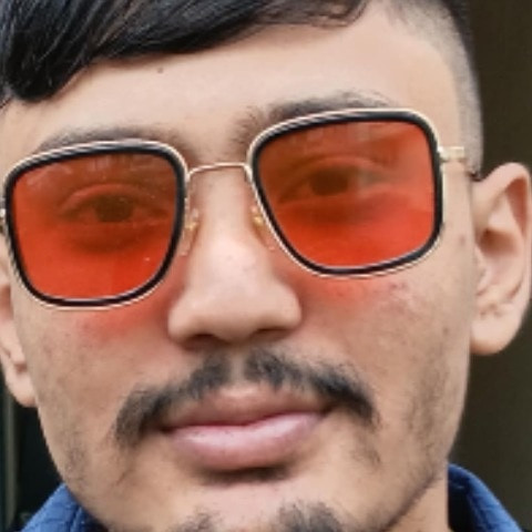 Gaurav The Pervert