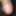 ViralXnxx