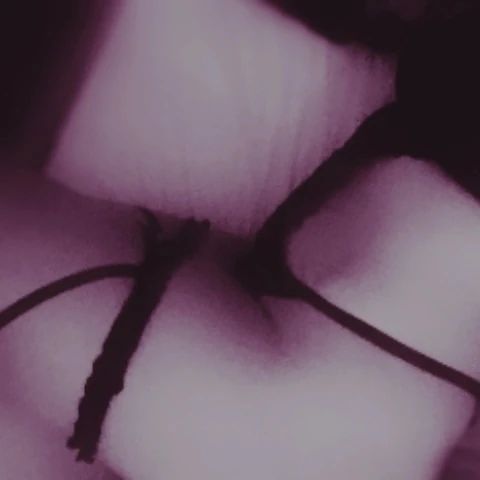 Deessenympho 