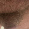 Horny Champ