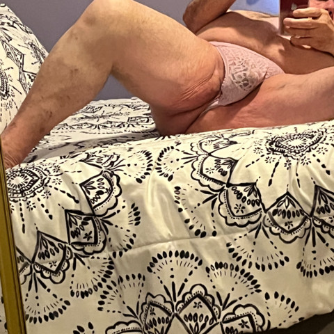 Taz7983