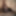 Gatita_travieza