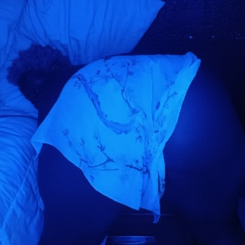 TrapGurlTRIXIE