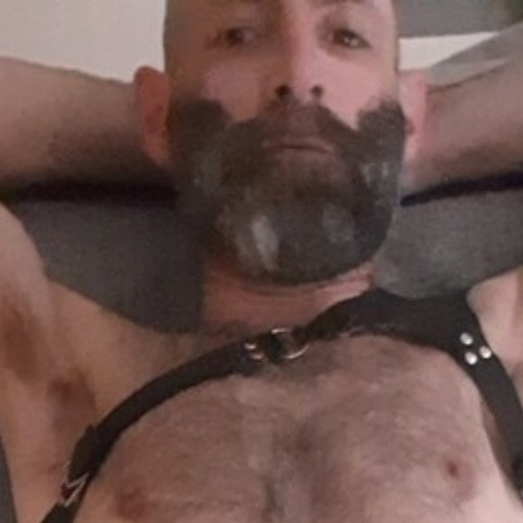 Pigasso