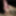 GermanCock32