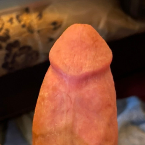 bislave96