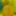 SlaveSkin