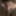 Ferial_Dz
