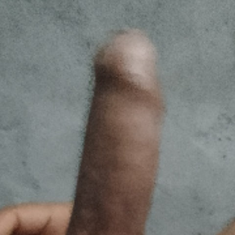 Rajan