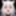 Greedyneko