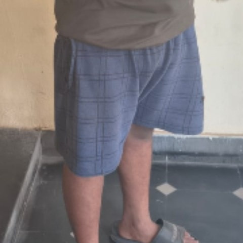 Telugu bull